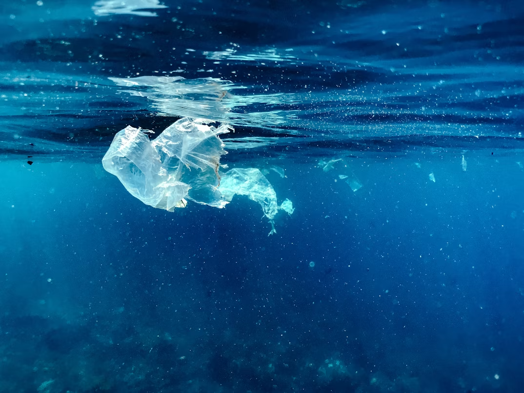 Ocean Recovery